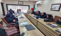 برگزاری کارگروه تخصصی مرگ و میر مادر باردار در مرکز آموزشی و درمانی حشمت