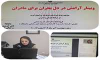 برگزاری وبینار آموزشی