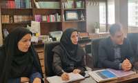 برگزاری جلسه جهت فازبندی مشکلات مراکز آموزشی درمانی رازی و حشمت
