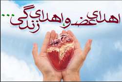 نجات جان سه بیمار با اهدای عضو یک بانوی مرگ مغزی گیلانی