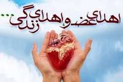 اهدای عضو بانوی گیلانی نجات بخش  جان دو بیمار نیازمند عضو شد