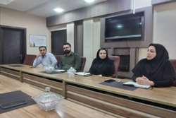 جلسه هم اندیشی در خصوص روند درمان سکته های حاد قلبی کد ۲۴۷ و راه اندازی تلمدیسین