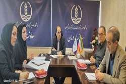 برگزاری جلسه بررسی چالش‌های بیمارستان ولی‌عصر (عج) رودبار با محوریت ارتقای بهره‌وری