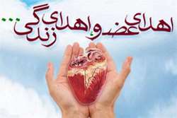 اعضای نام آور گیلانی، نجاتبخش بیماران نیازمند پیوند شد