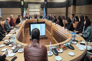 مورتالیتی و موربیدتی
