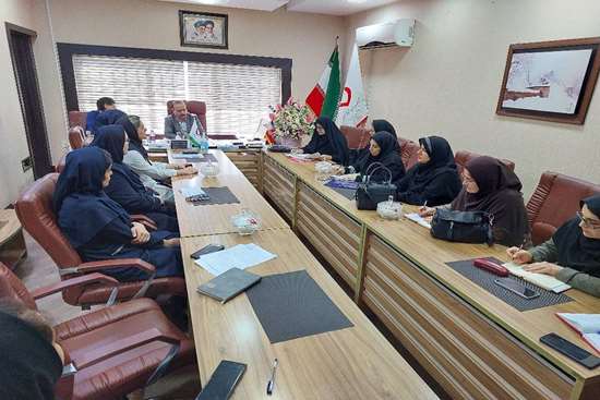 کارگروه تخصصی مرگ و میر مادر باردار 