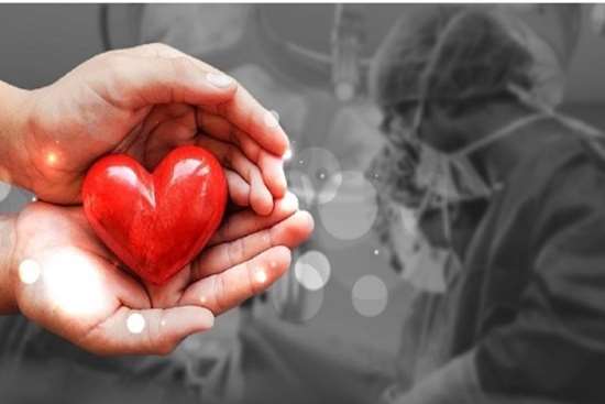 اهدای عضو اهدای زندگی
 